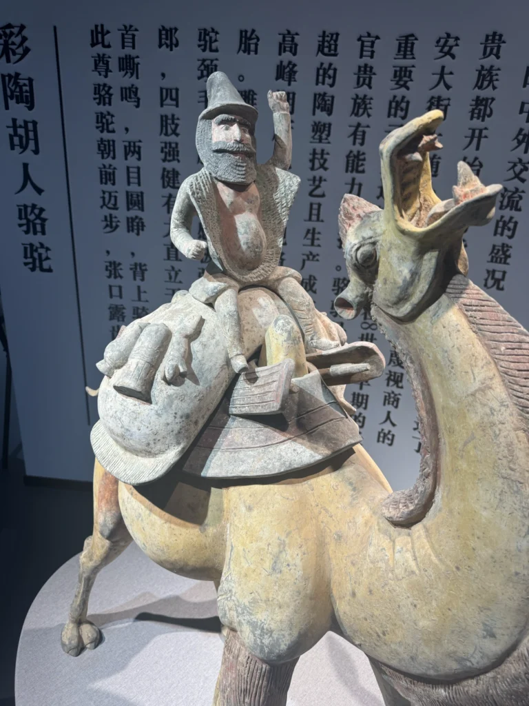 img 0393 副本