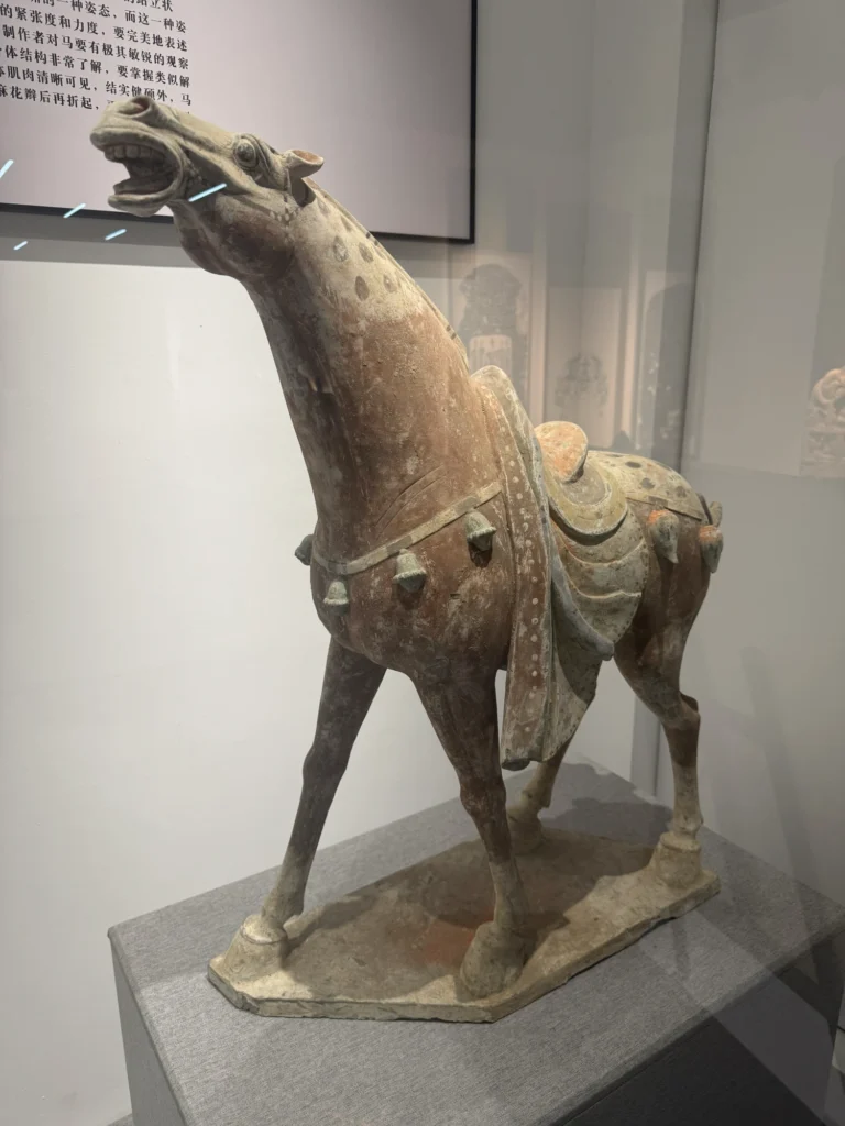 img 0400 副本
